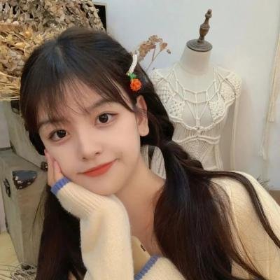 王良军长